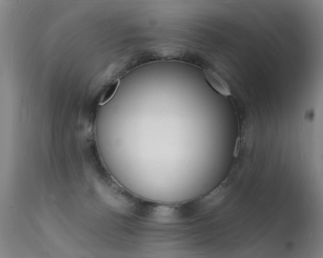 X0000112150176200908071011