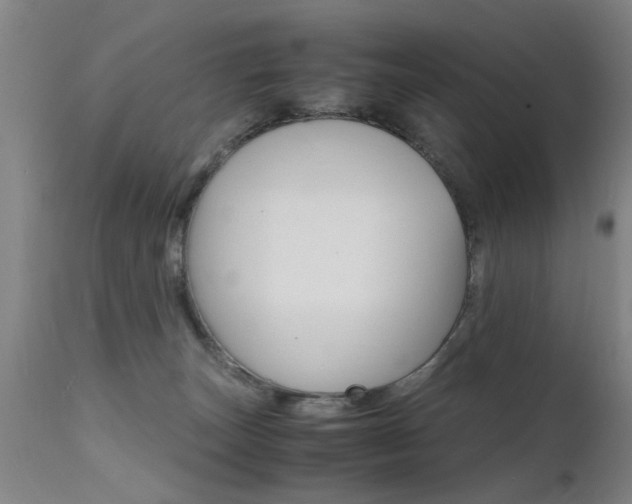 X0000112150179200908071011