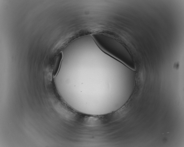X0000112150180200908071011