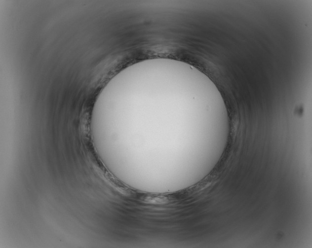 X0000112150181200908071011