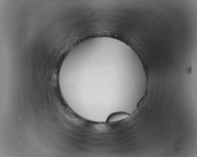 X0000112150183200908071011