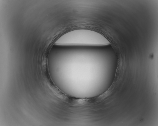 X0000112150184200908071012