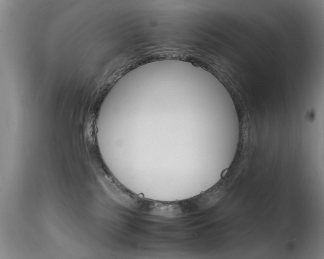 X0000112150185200908071012
