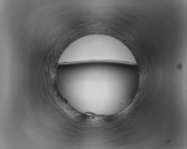 X0000112150186200908071012