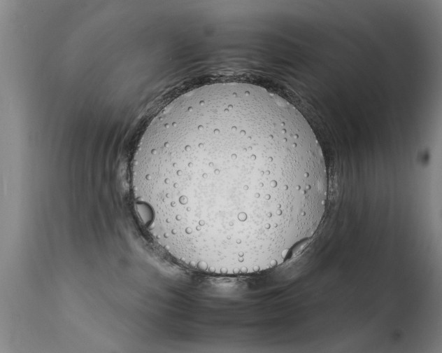 X0000112150187200908071012