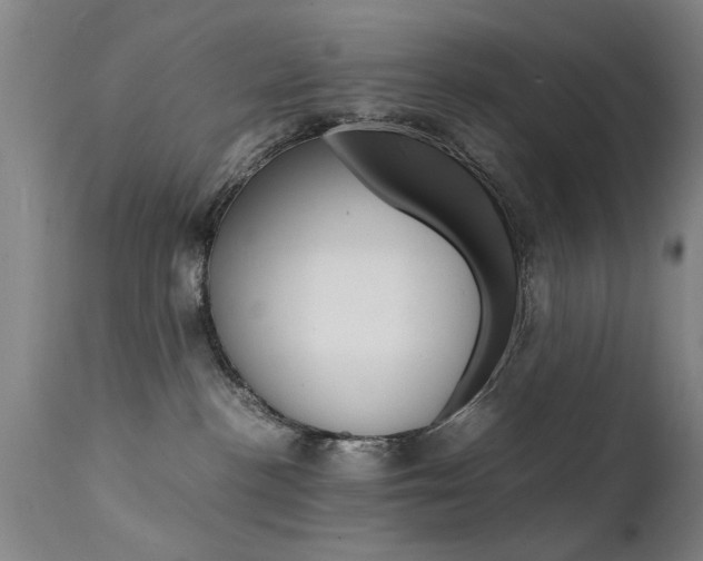 X0000112150188200908071012