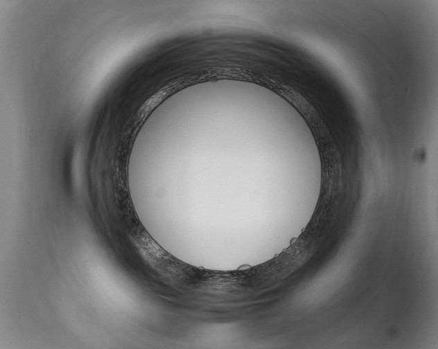 X0000112150189200908071012
