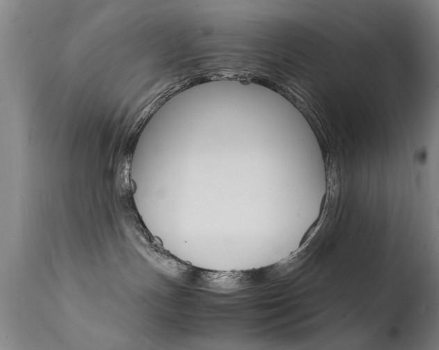 X0000112150191200908071012