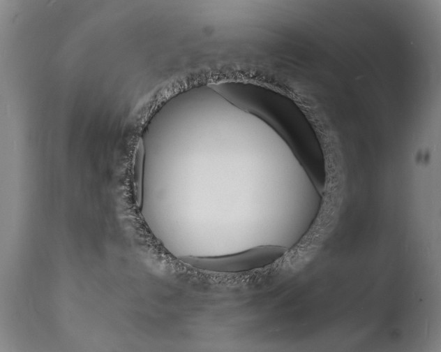 X0000112150192200908071012