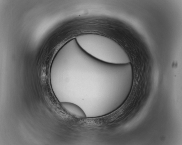 X0000112150194200908071011