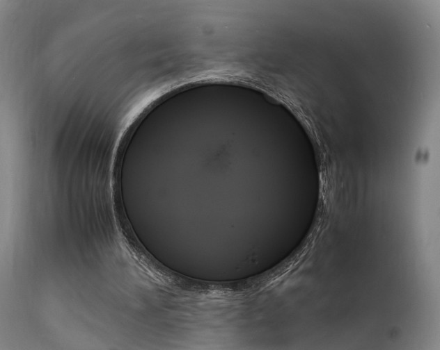 X0000112150196200908071011