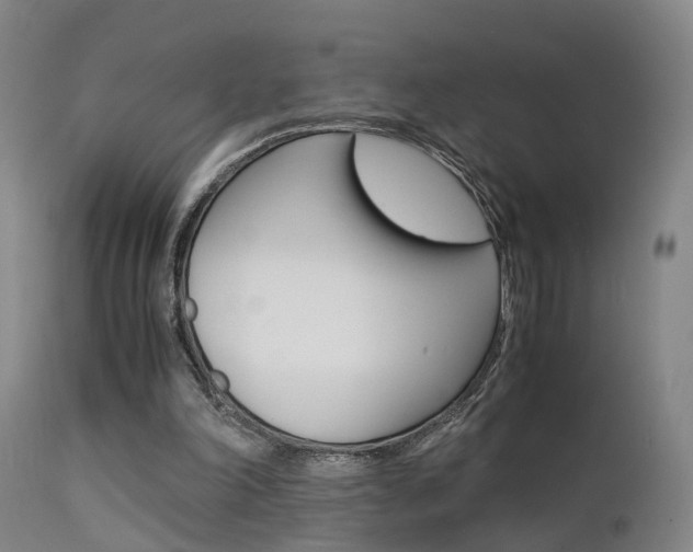 X0000112150198200908071011