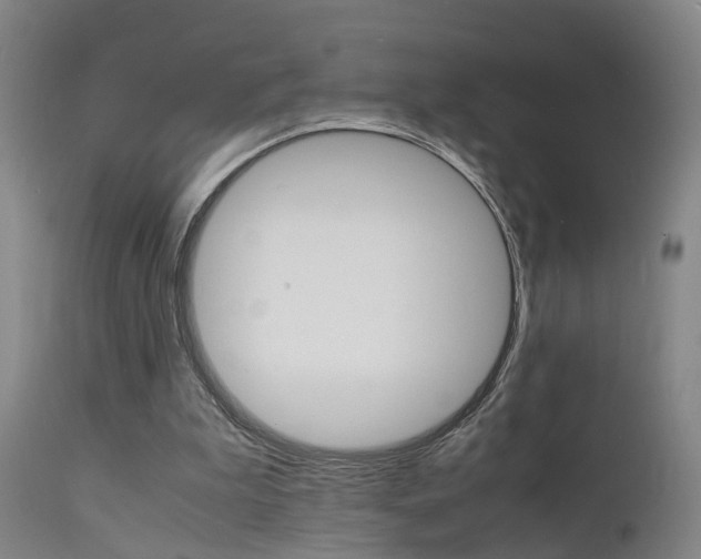X0000112150199200908071011