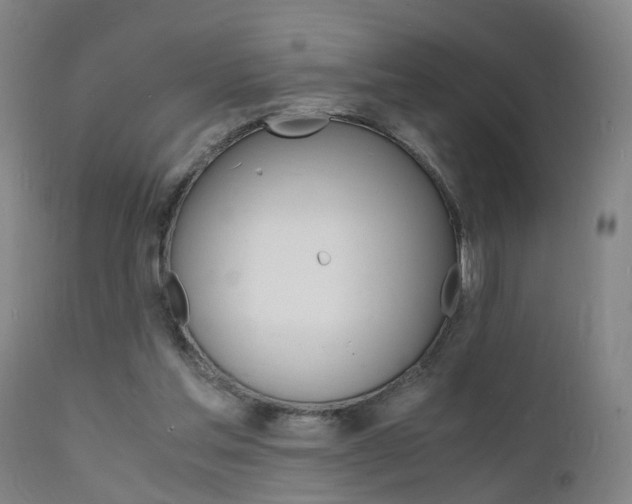X0000112150205200908071011