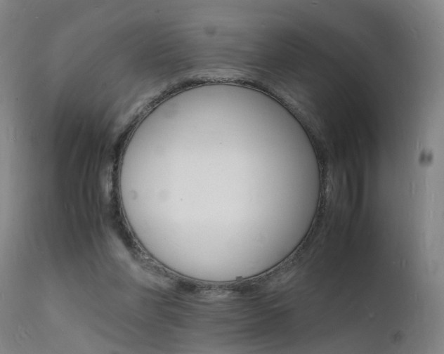 X0000112150206200908071011