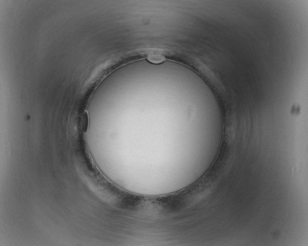 X0000112150207200908071011