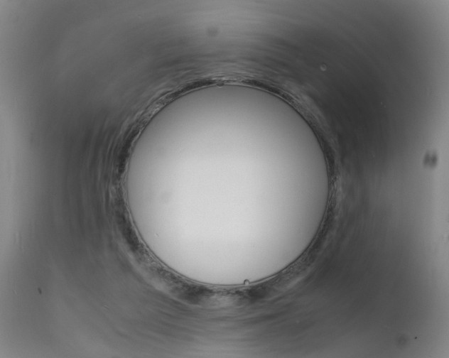 X0000112150209200908071011