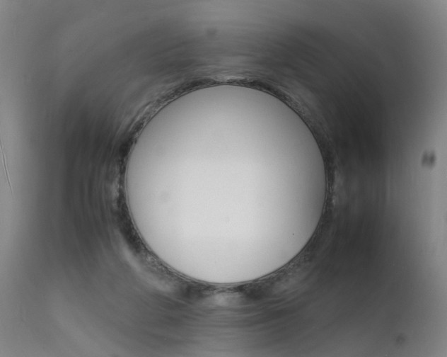 X0000112150210200908071011