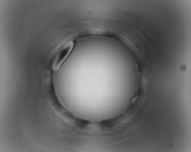 X0000112150211200908071011