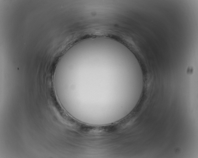 X0000112150213200908071010