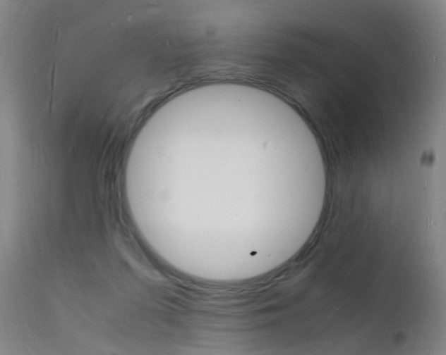 X0000112150215200908071010
