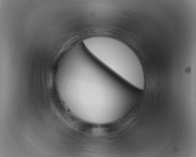 X0000112150216200908071010