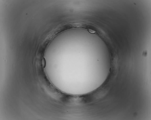 X0000112150217200908071010