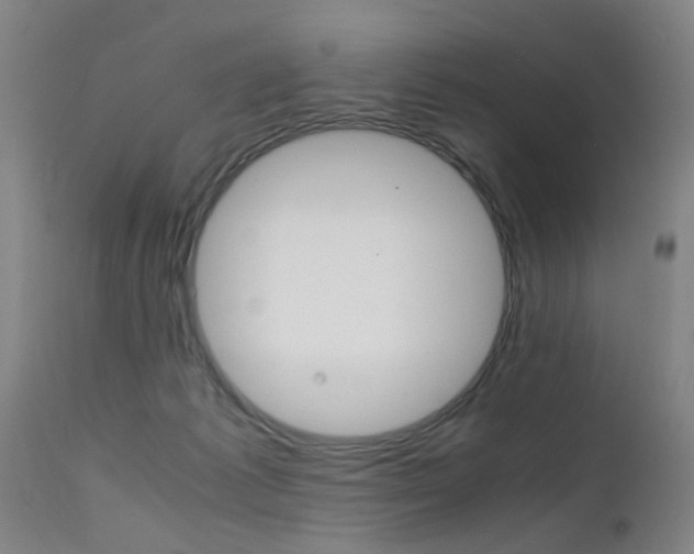 X0000112150221200908071010