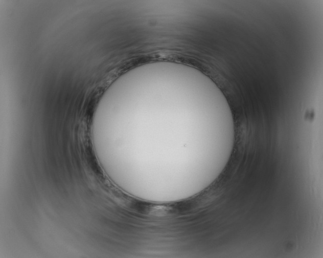 X0000112150222200908071010
