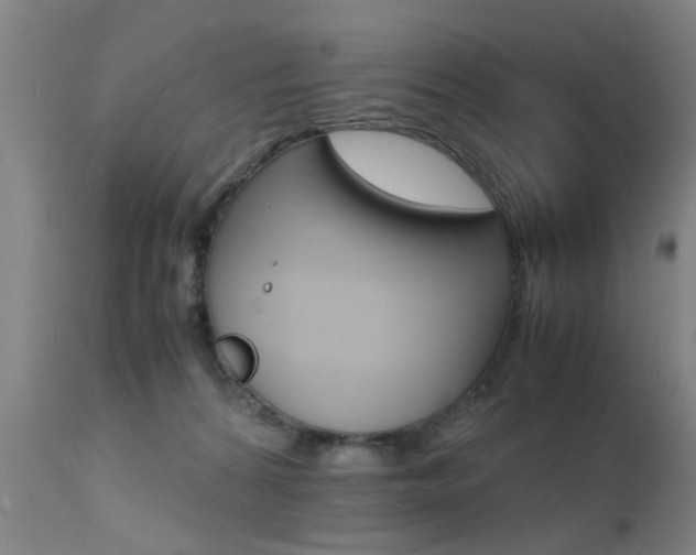 X0000112150224200908071010
