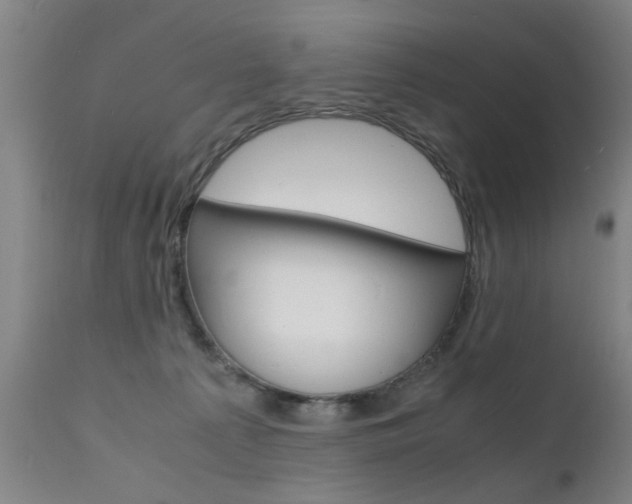 X0000112150225200908071010