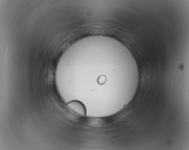 X0000112150226200908071010