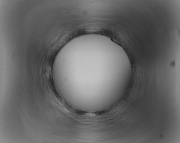 X0000112150227200908071010