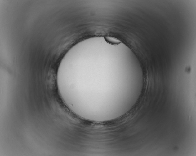 X0000112150228200908071010