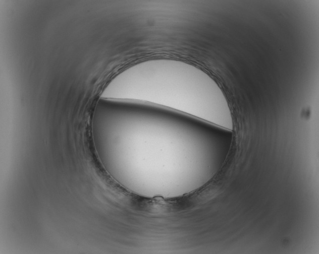 X0000112150229200908071010