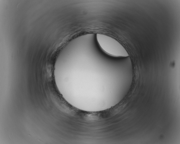 X0000112150232200908071010