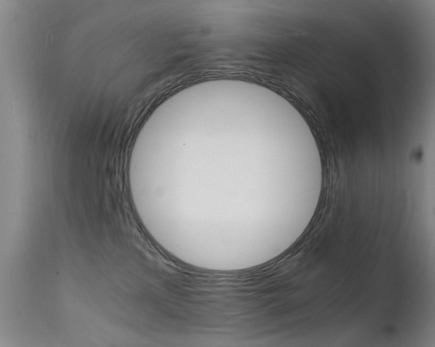 X0000112150233200908071010
