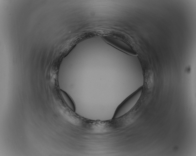 X0000112150235200908071010