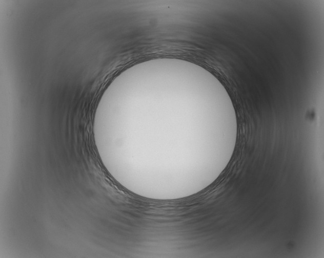 X0000112150237200908071010