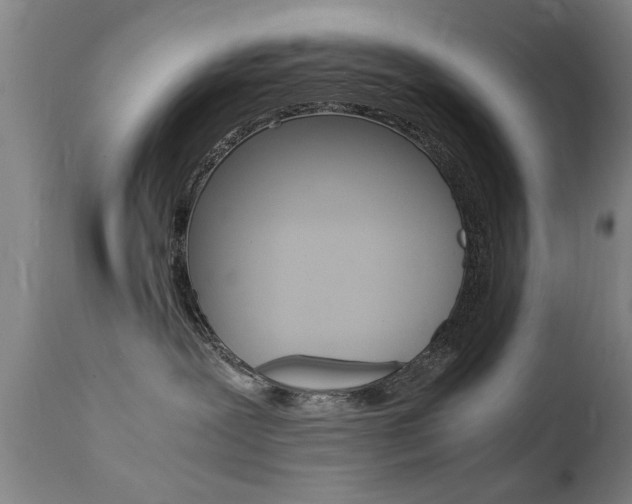 X0000112150239200908071010