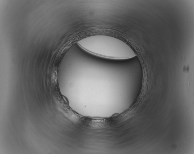 X0000112150240200908071010