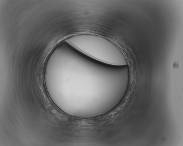 X0000112150241200908071009