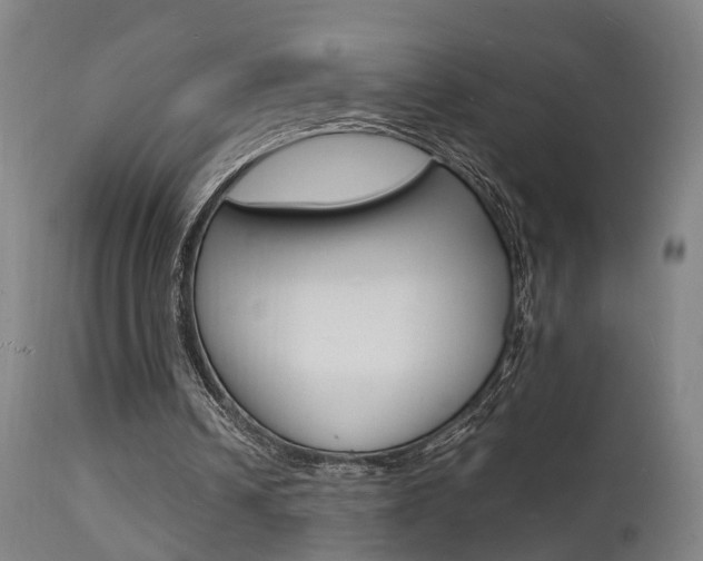 X0000112150242200908071009