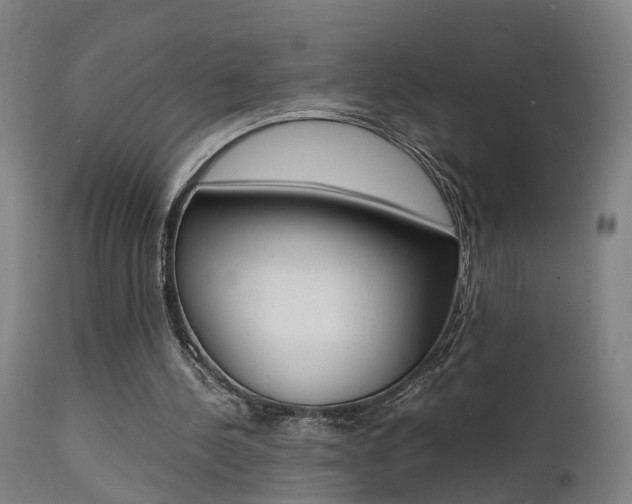 X0000112150244200908071009