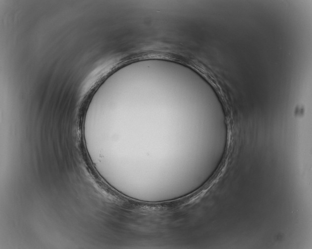 X0000112150245200908071010