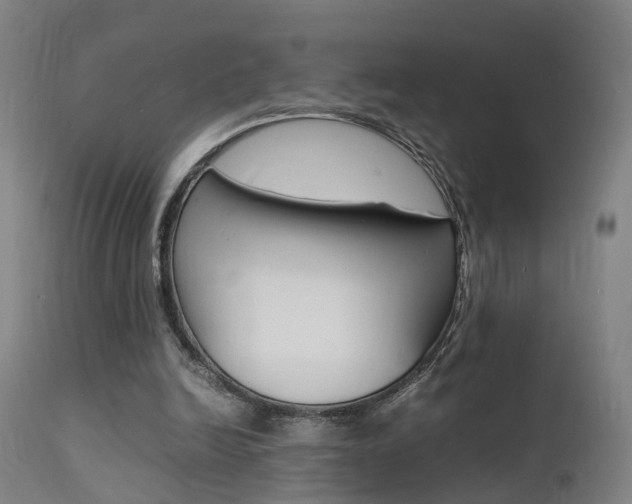 X0000112150246200908071010