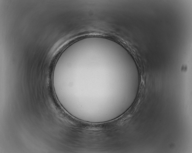 X0000112150247200908071010
