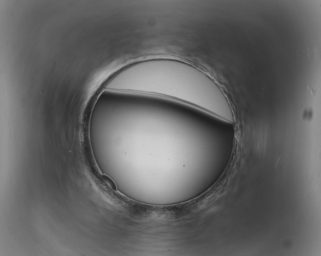 X0000112150248200908071010