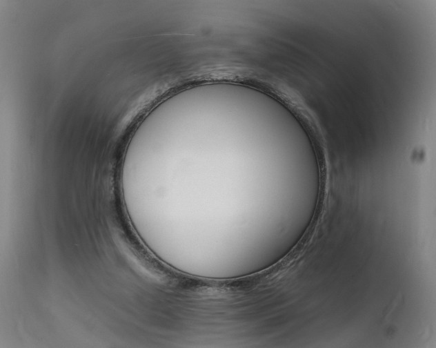 X0000112150250200908071010