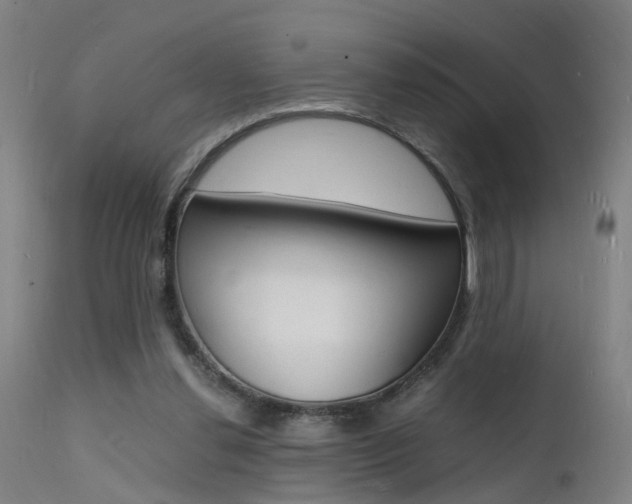 X0000112150252200908071010